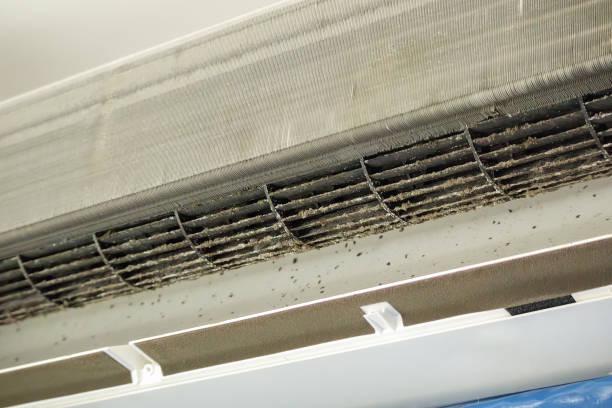 Best Local Air Duct Cleaning Services  in North Branch, MN